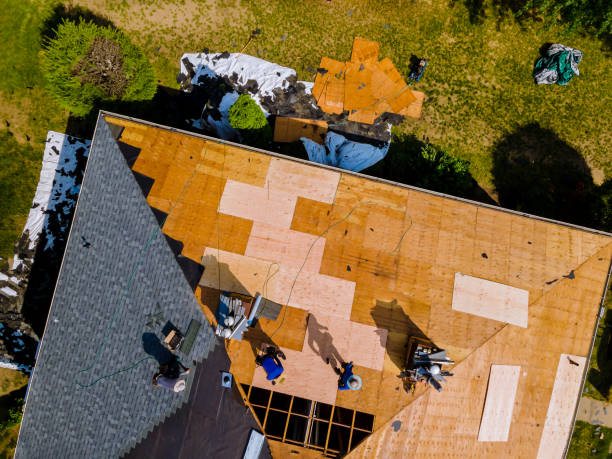 Professional Roofing Contractor in Lacon, IL