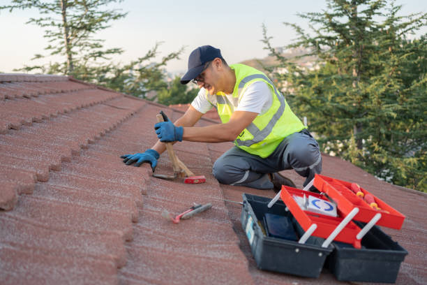 Best Emergency Roof Repair  in Lacon, IL